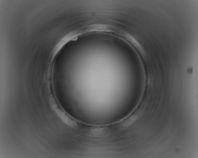X0000093381378200710111446
