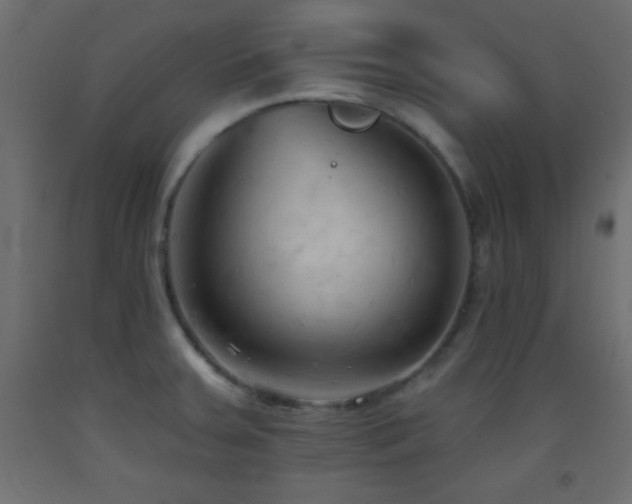 X0000093381379200710111446