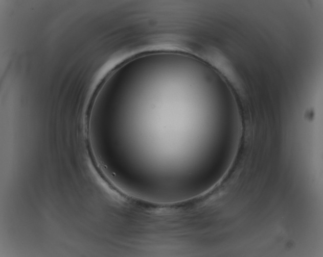 X0000093381380200710111446