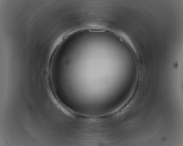 X0000093381381200710111446