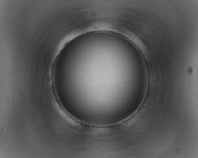 X0000093381382200710111446