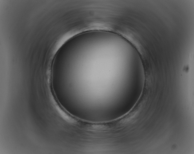 X0000093381383200710111446