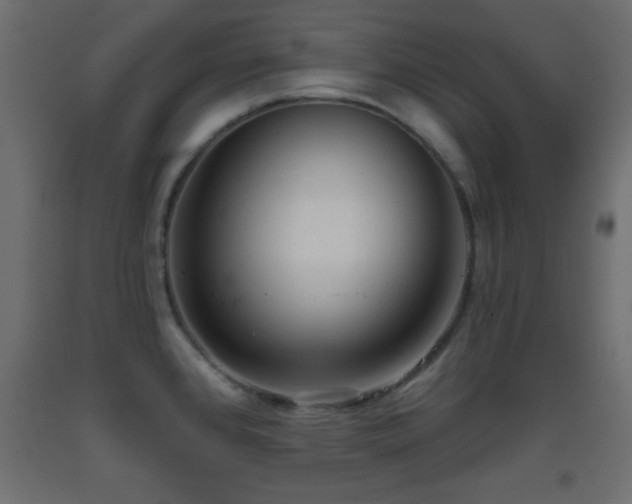 X0000093381384200710111446