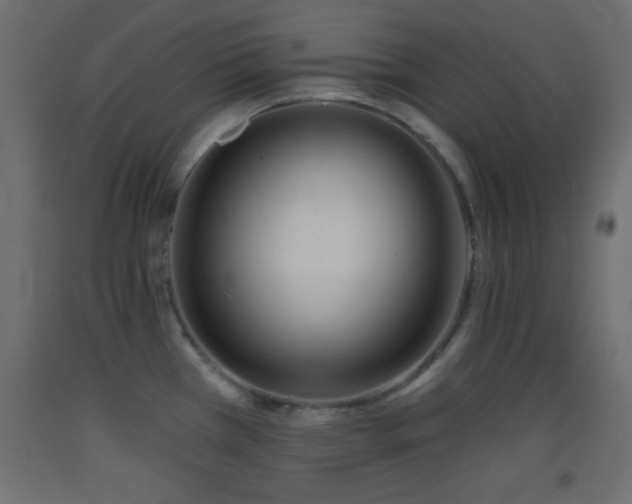X0000093381385200710111446