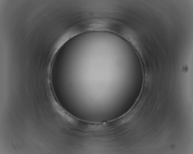 X0000093381386200710111446