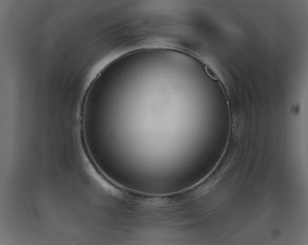 X0000093381387200710111446