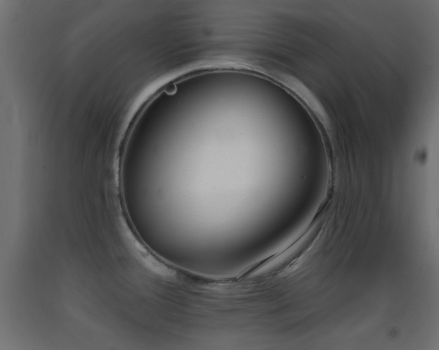 X0000093381388200710111446
