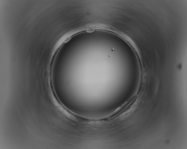 X0000093381389200710111446