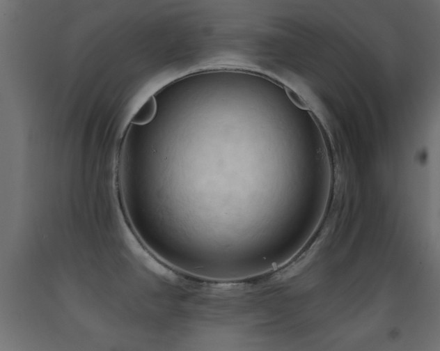 X0000093381390200710111446