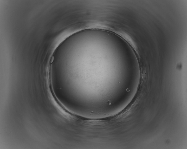 X0000093381391200710111446