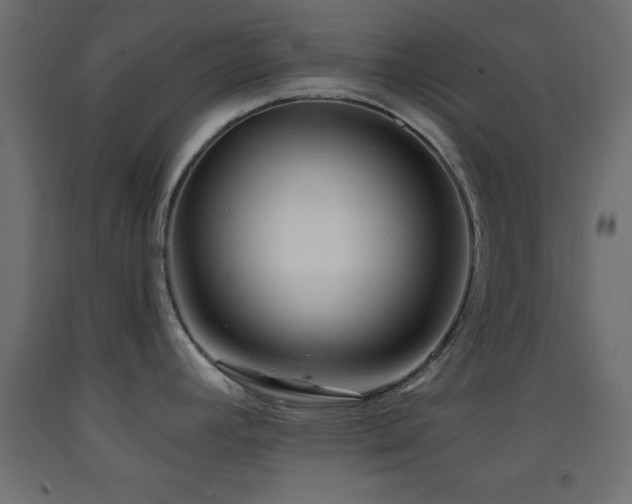 X0000093381392200710111446