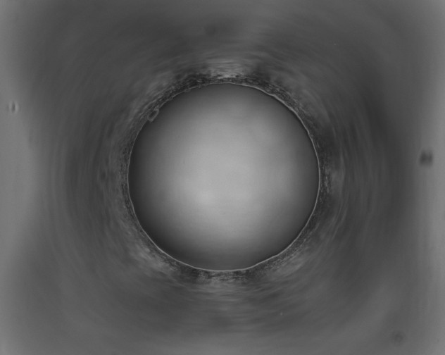 X0000093381393200710111445