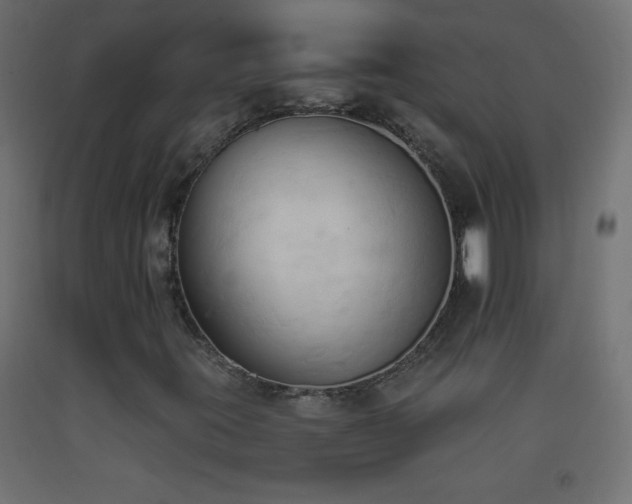 X0000093381395200710111445
