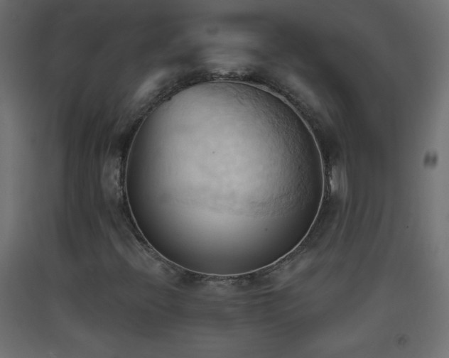 X0000093381396200710111445