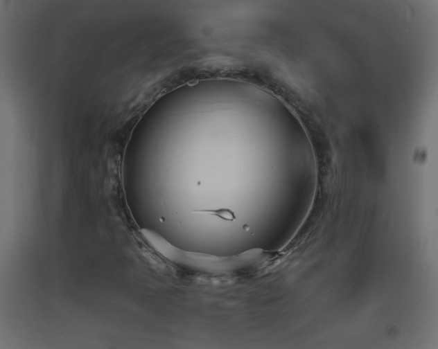 X0000093381397200710111445