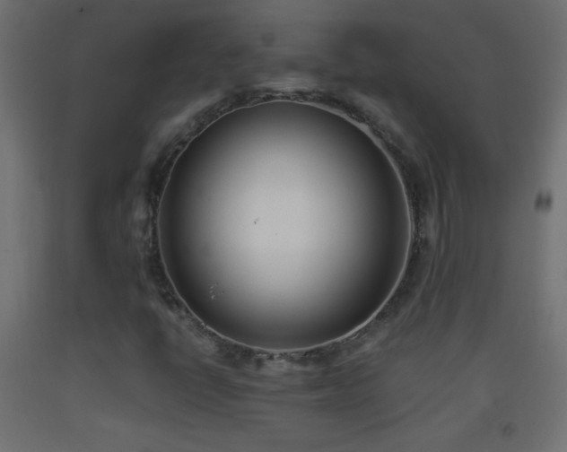 X0000093381398200710111445