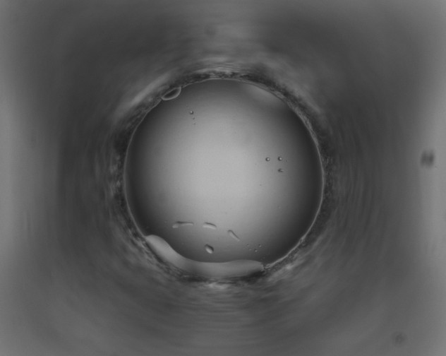 X0000093381399200710111445