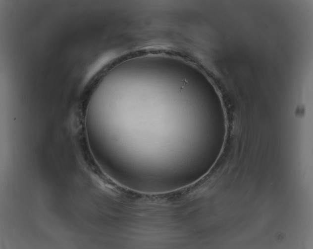 X0000093381400200710111445