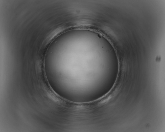 X0000093381401200710111445