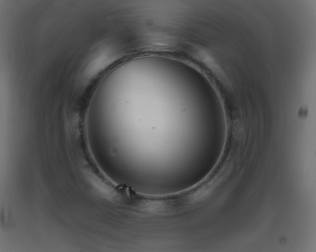 X0000093381402200710111445
