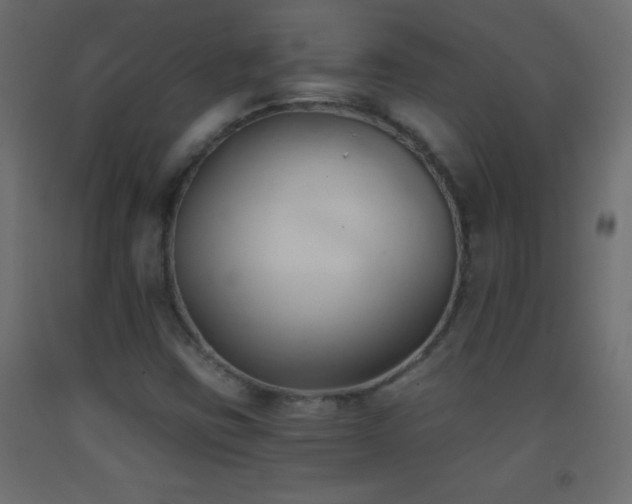 X0000093381403200710111445