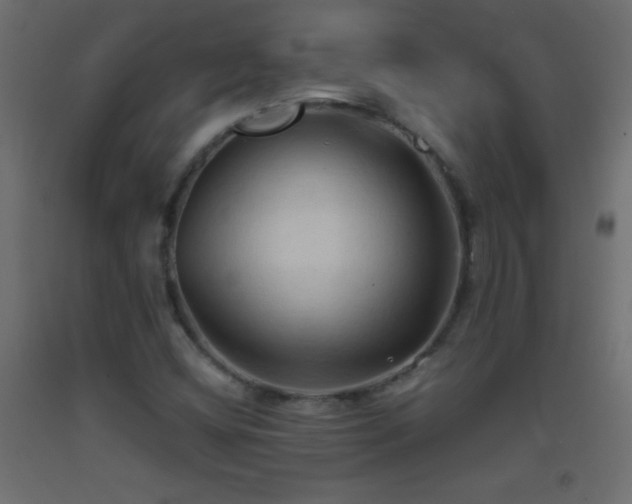 X0000093381404200710111445