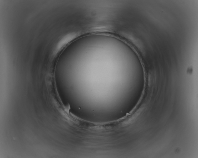 X0000093381405200710111445