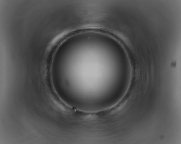 X0000093381406200710111445