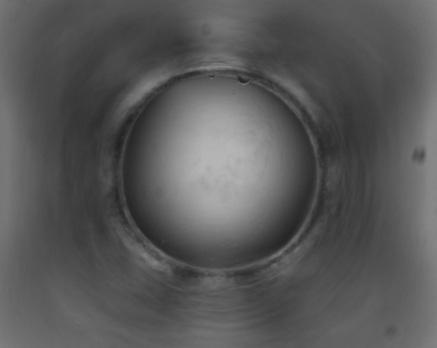 X0000093381407200710111445