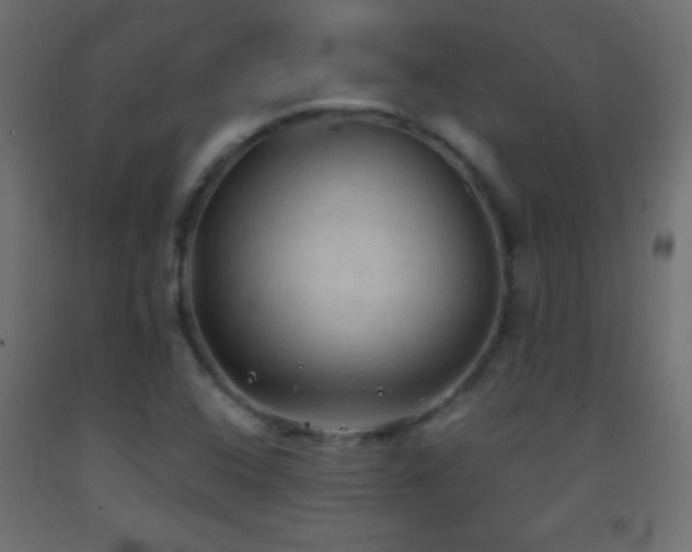 X0000093381408200710111445