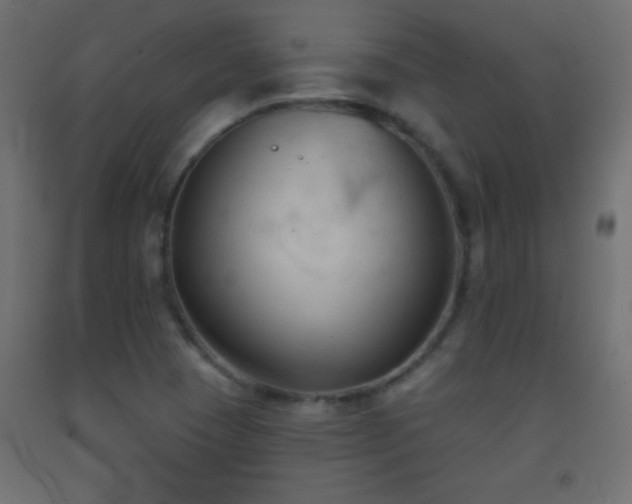 X0000093381409200710111445