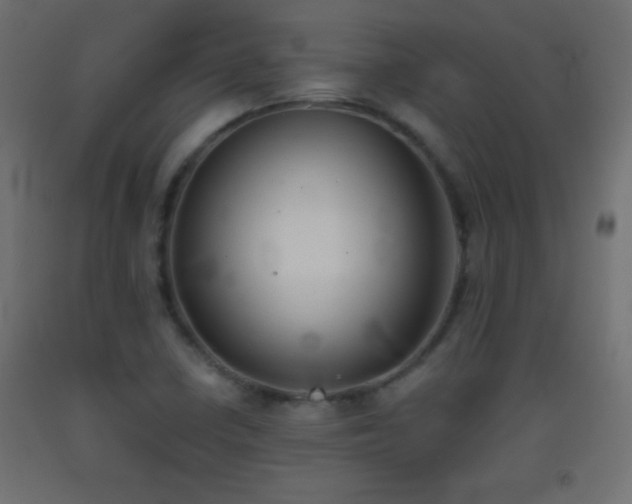 X0000093381410200710111445