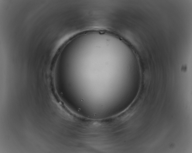 X0000093381412200710111445