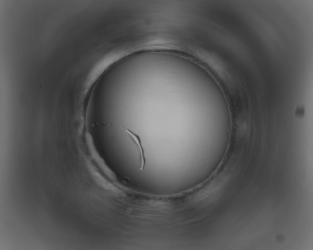 X0000093381413200710111445