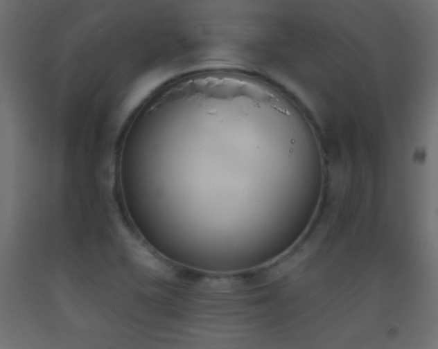 X0000093381415200710111445