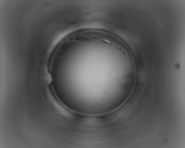 X0000093381416200710111445
