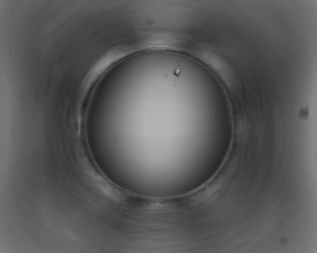 X0000093381419200710111445