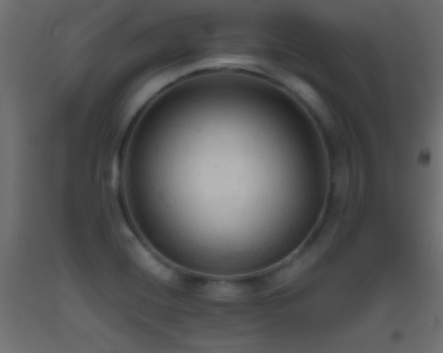 X0000093381420200710111445