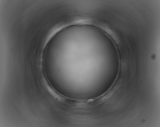 X0000093381421200710111445