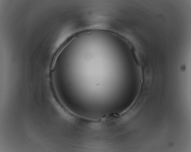 X0000093381422200710111445