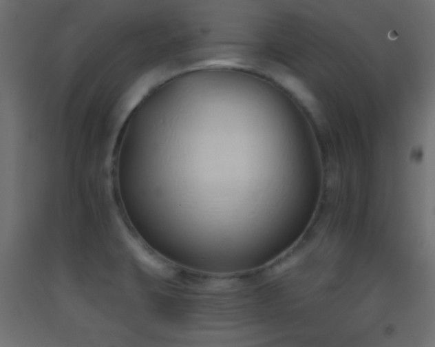 X0000093381423200710111446
