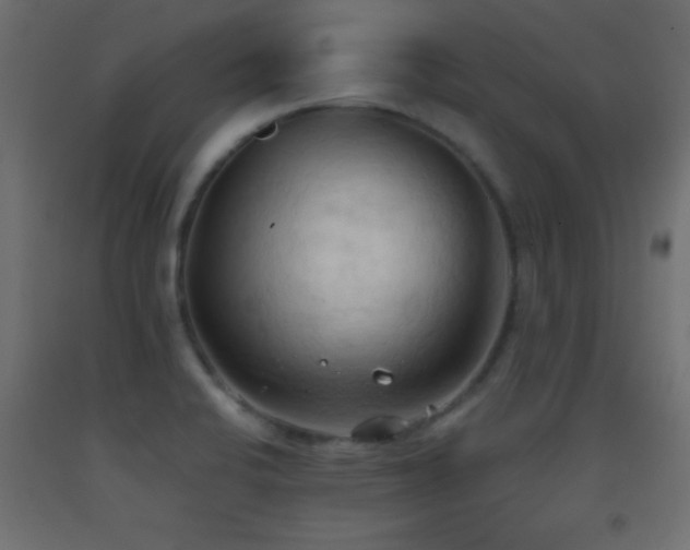 X0000093381424200710111446