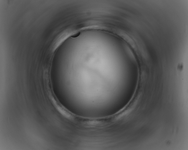 X0000093381425200710111446