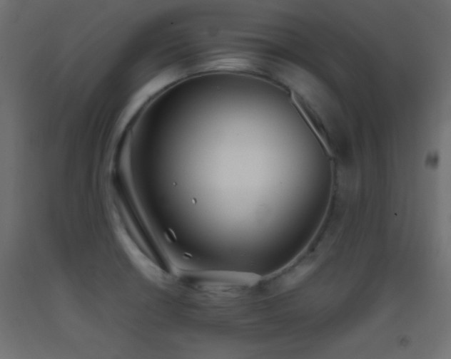 X0000093381426200710111446
