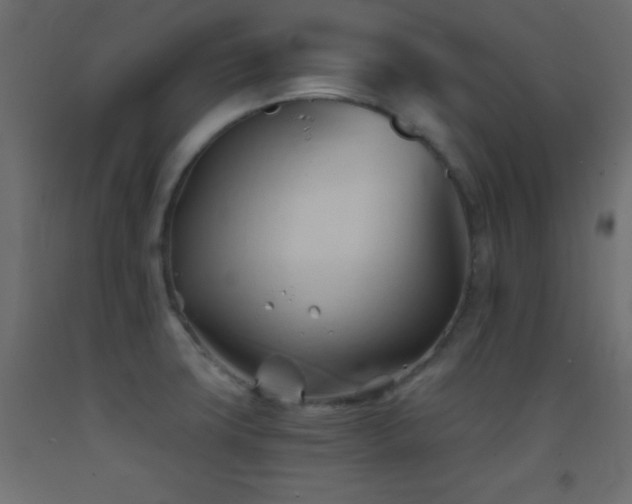 X0000093381427200710111446