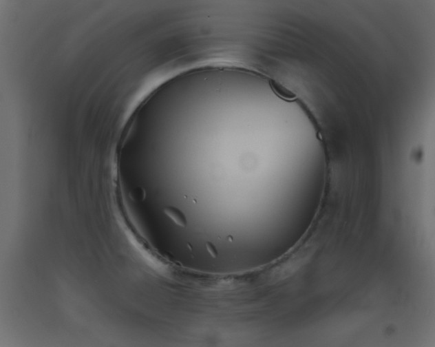 X0000093381428200710111446