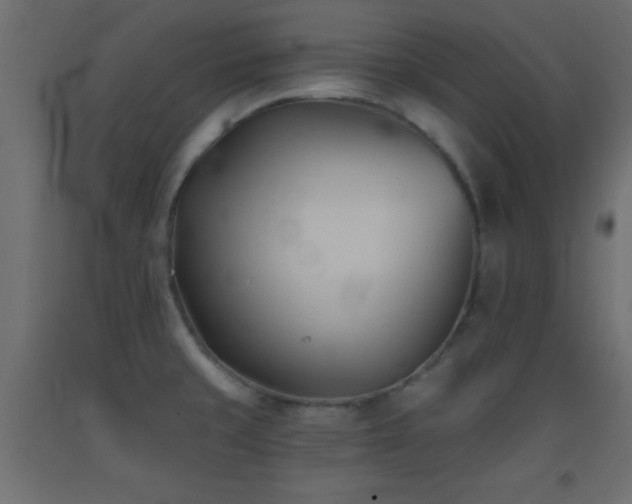 X0000093381429200710111446