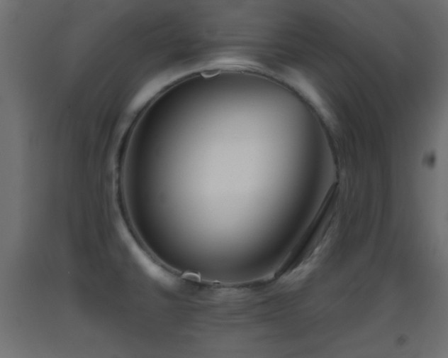 X0000093381430200710111446