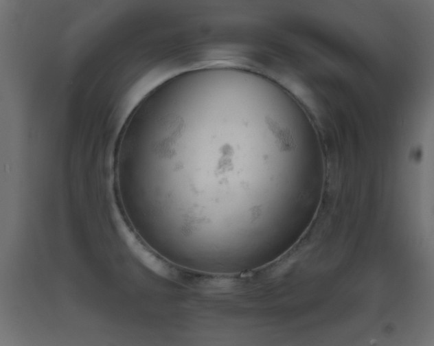 X0000093381431200710111446