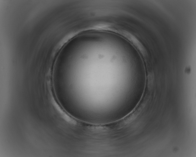 X0000093381432200710111446